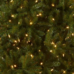 National Tree Company 10 ft. Pre-Lit Dunhill Fir Tree with Dual Color LED Lights