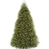 National Tree Company 9 ft. Pre-Lit Dunhill Fir Tree with Clear Lights