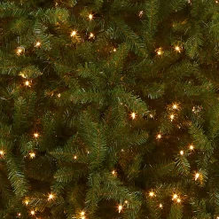National Tree Company 12 ft. Pre-Lit Dunhill Fir Tree with Clear Lights