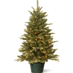 National Tree Company 3 ft. Pre-Lit Everyday Collection Tree with Clear Lights