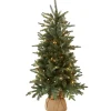 National Tree Company 4 ft. Pre-Lit Everyday Collection Tree with Clear Lights