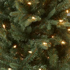 National Tree Company 4 ft. Pre-Lit Everyday Collection Tree with Clear Lights