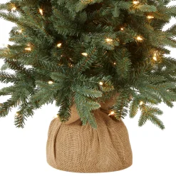 National Tree Company 4 ft. Pre-Lit Everyday Collection Tree with Clear Lights