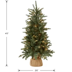 National Tree Company 4 ft. Pre-Lit Everyday Collection Tree with Clear Lights