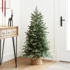 National Tree Company 4 ft. Pre-Lit Everyday Collection Tree with Clear Lights