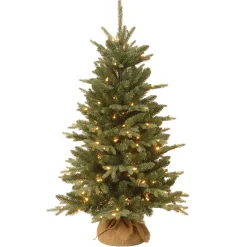 National Tree Company 4 ft. Pre-Lit Everyday Collection Tree with Clear Lights