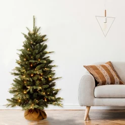 National Tree Company 4 ft. Pre-Lit Everyday Collection Tree with Clear Lights