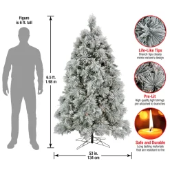 National Tree Company 6.5 ft. Pre-Lit Flocked Bavarian Pine Tree
