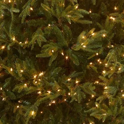 National Tree Company 7.5 ft. Pre-Lit Fraser Grande Tree with Clear Lights