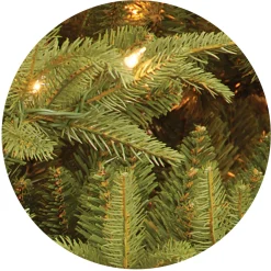 National Tree Company 7.5 ft. Pre-Lit Fraser Grande Tree with Clear Lights