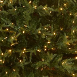 National Tree Company 6 ft. Pre-Lit Fraser Grande with Dual Color LED Lights