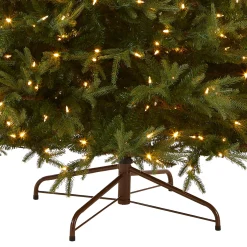 National Tree Company 6 ft. Pre-Lit Fraser Grande with Dual Color LED Lights