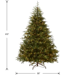 National Tree Company 6 ft. Pre-Lit Fraser Grande with Dual Color LED Lights