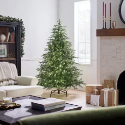 National Tree Company 6 ft. Pre-Lit Fraser Grande with Dual Color LED Lights