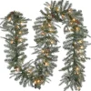 National Tree Company 9 ft. Pre-Lit Frosted Arctic Spruce Garland with Clear Lights