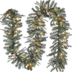 National Tree Company 9 ft. Pre-Lit Frosted Arctic Spruce Garland with Clear Lights