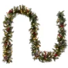 National Tree Company 9 ft. Pre-Lit Frosted Berry Garland with Clear Lights