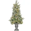 National Tree Company 4 ft. Pre-Lit Frosted Colonial Fir Tree with Warm White LED Lights