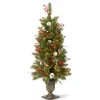National Tree Company 4 ft. Pre-Lit Frosted Pine Berry Tree with Clear Lights