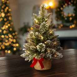 National Tree Company 2 ft. Pre-Lit Glittery Bristle Tree with LED Lights