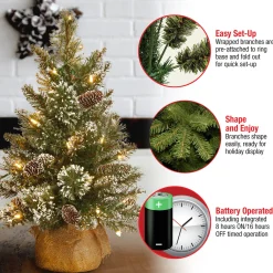 National Tree Company 2 ft. Pre-Lit Glittery Bristle Tree with LED Lights