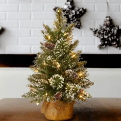 National Tree Company 2 ft. Pre-Lit Glittery Bristle Tree with LED Lights
