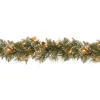 National Tree Company 9 ft. Pre-Lit Glittery Bristle Pine Garland with Clear Lights