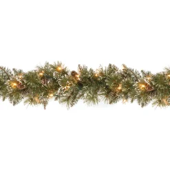 National Tree Company 9 ft. Pre-Lit Glittery Bristle Pine Garland with Clear Lights