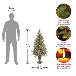 National Tree Company 4 ft. Pre-Lit Glittery Bristle Tree with Clear Lights