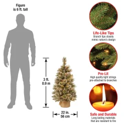 National Tree Company 3 ft. Pre-Lit Glittery Bristle Tree with LED Lights