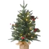 National Tree Company 2 ft. Pre-Lit Happy Hill Pine Tree with LED Lights