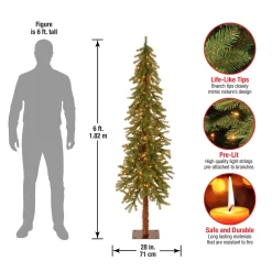 National Tree Company 6 ft. Pre-Lit Hickory Cedar Tree with Clear Lights