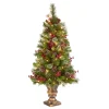 National Tree Company 4 ft. Pre-Lit Iced Berry Pine Entrance Tree with Clear Lights