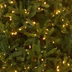 National Tree Company 7.5 ft. Pre-Lit Jersey Fraser Fir Medium Tree with Dual Color LED Lights