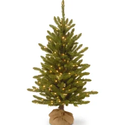 National Tree Company 4 ft. Pre-Lit Kensington Fir Tree in a Burlap Sack with Clear Lights
