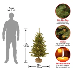 National Tree Company 4 ft. Pre-Lit Kensington Fir Tree in a Burlap Sack with Clear Lights