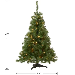 National Tree Company 4 ft. Pre-Lit Kincaid Spruce Tree with Clear Lights