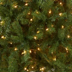 National Tree Company 6 ft. Pre-Lit Kincaid Spruce Tree with Clear Lights
