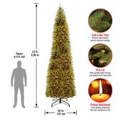 National Tree Company 14 ft. Pre-Lit Kingswood Fir Pencil Tree with Clear Lights