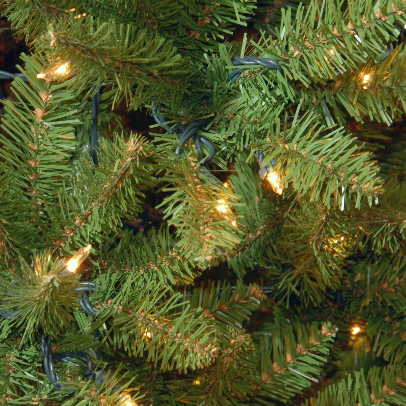National Tree Company 7 ft. Pre-Lit Kingswood Fir Pencil Tree with Clear Lights