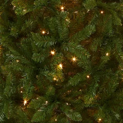 National Tree Company 6.5 ft. Pre-Lit Kingswood Fir Pencil Tree with Clear Lights