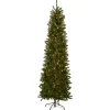 National Tree Company 6 ft. Pre-Lit Kingswood Fir Pencil Tree with Clear Lights