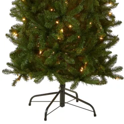 National Tree Company 6 ft. Pre-Lit Kingswood Fir Pencil Tree with Clear Lights