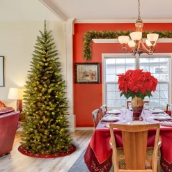 National Tree Company 6 ft. Pre-Lit Kingswood Fir Pencil Tree with Clear Lights