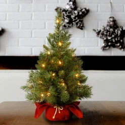 National Tree Company 2 ft. Pre-Lit Majestic Fir Tree with Clear Lights, Burgandy Base