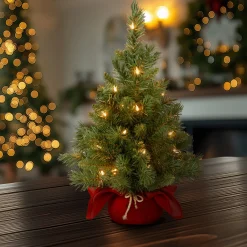 National Tree Company 2 ft. Pre-Lit Majestic Fir Tree with LED Lights, Red Base