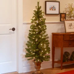 National Tree Company 5 ft. Pre-Lit Montclair Spruce Slim Tree with Clear Lights