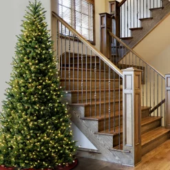 National Tree Company 10 ft. Pre-Lit Natural Fraser Slim Fir Tree with Clear Lights