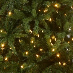 National Tree Company 8 ft. Pre-Lit Newberry Spruce Tree with PowerConnect Dual Color LED Lights