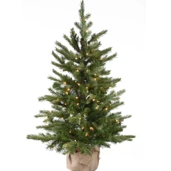 National Tree Company 3 ft. Pre-Lit Nordic Spruce Tree with Clear Lights